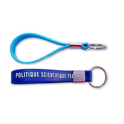 Silikon-Anhänger 100% förderndes Keychain, Metallzusätze, Pantone-Farbe